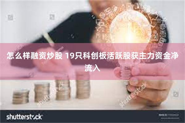 怎么样融资炒股 19只科创板活跃股获主力资金净流入