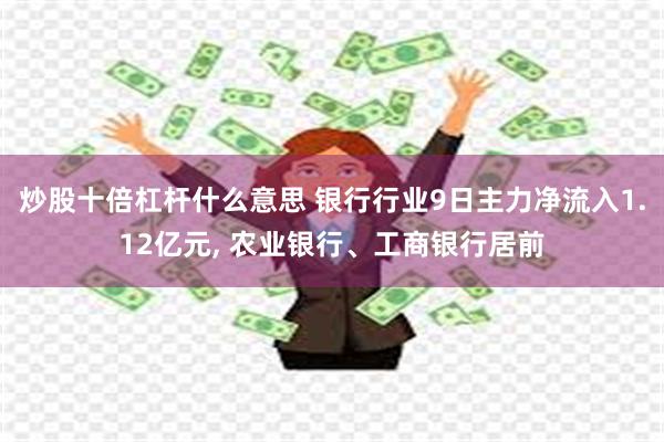 炒股十倍杠杆什么意思 银行行业9日主力净流入1.12亿元, 农业银行、工商银行居前