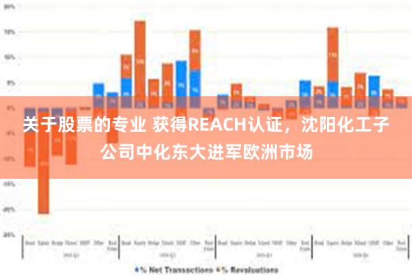 关于股票的专业 获得REACH认证，沈阳化工子公司中化东大进军欧洲市场