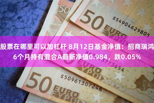 股票在哪里可以加杠杆 8月12日基金净值：招商瑞鸿6个月持有混合A最新净值0.984，跌0.05%