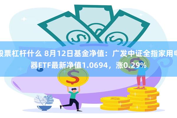 股票杠杆什么 8月12日基金净值：广发中证全指家用电器ETF最新净值1.0694，涨0.29%