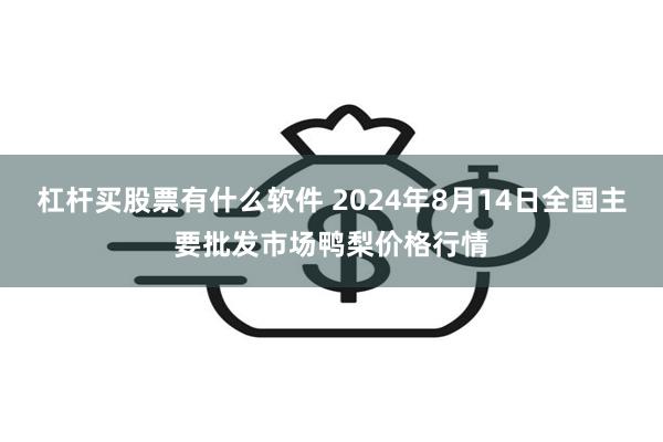 杠杆买股票有什么软件 2024年8月14日全国主要批发市场鸭梨价格行情