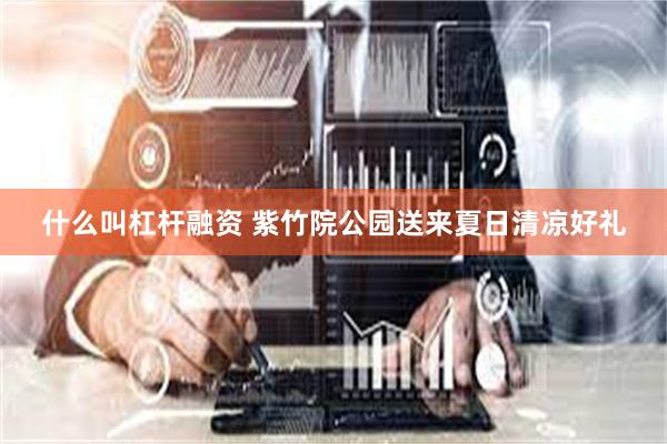 什么叫杠杆融资 紫竹院公园送来夏日清凉好礼