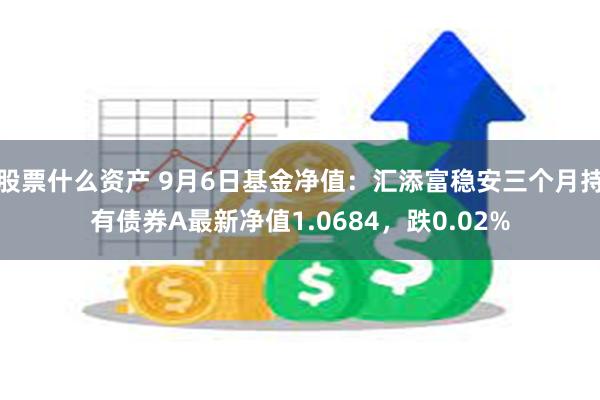 股票什么资产 9月6日基金净值：汇添富稳安三个月持有债券A最新净值1.0684，跌0.02%