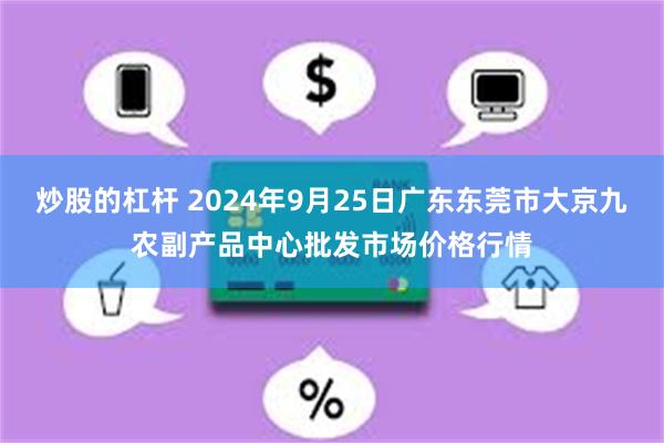 炒股的杠杆 2024年9月25日广东东莞市大京九农副产品中心批发市场价格行情