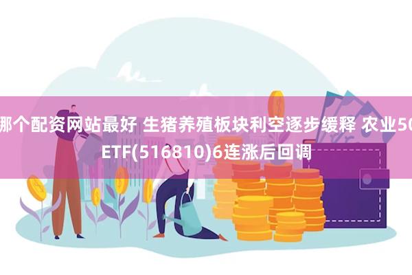 哪个配资网站最好 生猪养殖板块利空逐步缓释 农业50ETF(516810)6连涨后回调