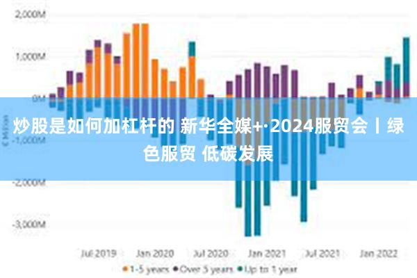 炒股是如何加杠杆的 新华全媒+·2024服贸会丨绿色服贸 低碳发展