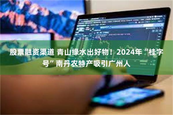 股票融资渠道 青山绿水出好物！2024年“桂字号”南丹农特产吸引广州人