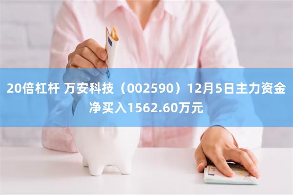 20倍杠杆 万安科技（002590）12月5日主力资金净买入1562.60万元