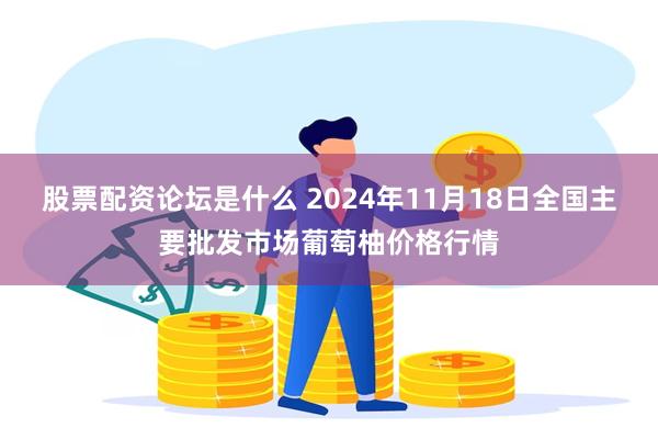 股票配资论坛是什么 2024年11月18日全国主要批发市场葡萄柚价格行情