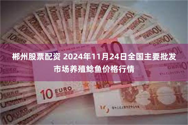 郴州股票配资 2024年11月24日全国主要批发市场养殖鲶鱼价格行情