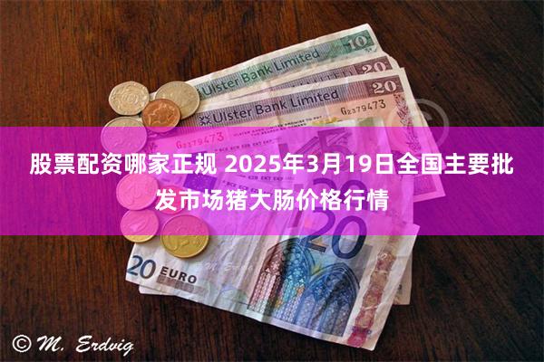 股票配资哪家正规 2025年3月19日全国主要批发市场猪大肠价格行情